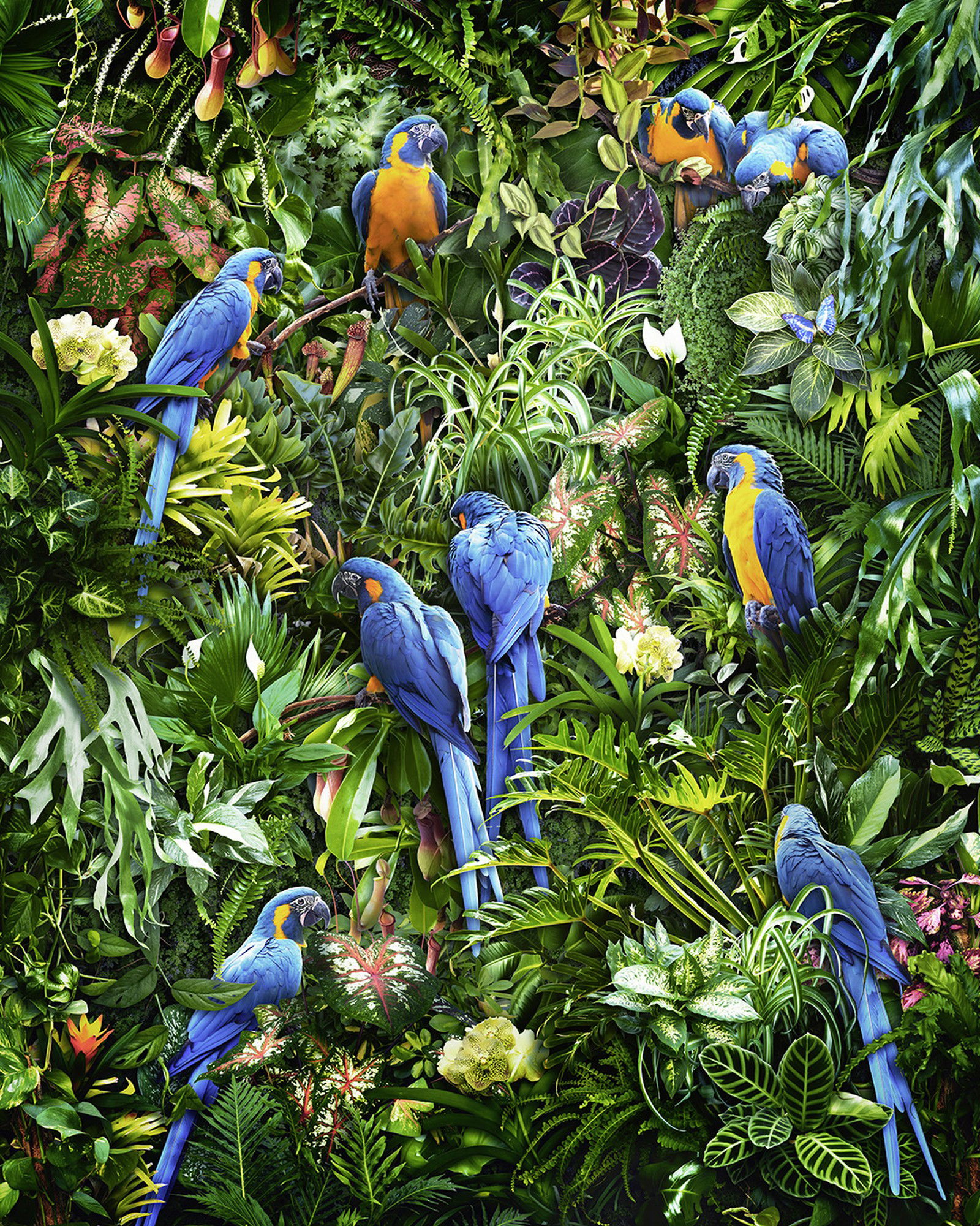 Lush Life I by Jesper Krijgsman - Limited Edition. Edition of: 150. Signed.