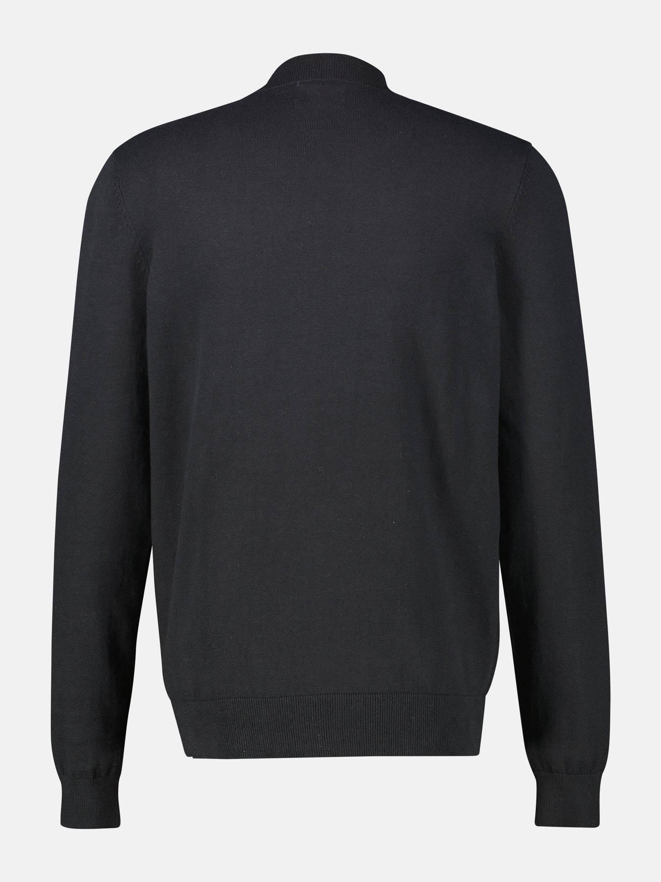 Herren-Pullover mit Turtle-Neck