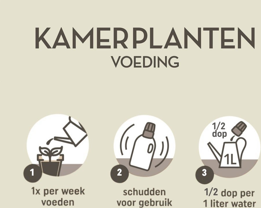 Pokon Kamerplanten Voeding 500ml