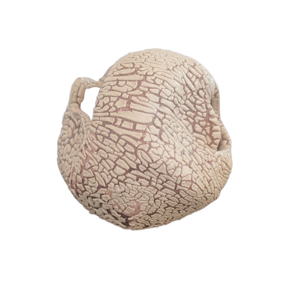 Décoration boulet 8 cm avec cachettes pour petit poisson
