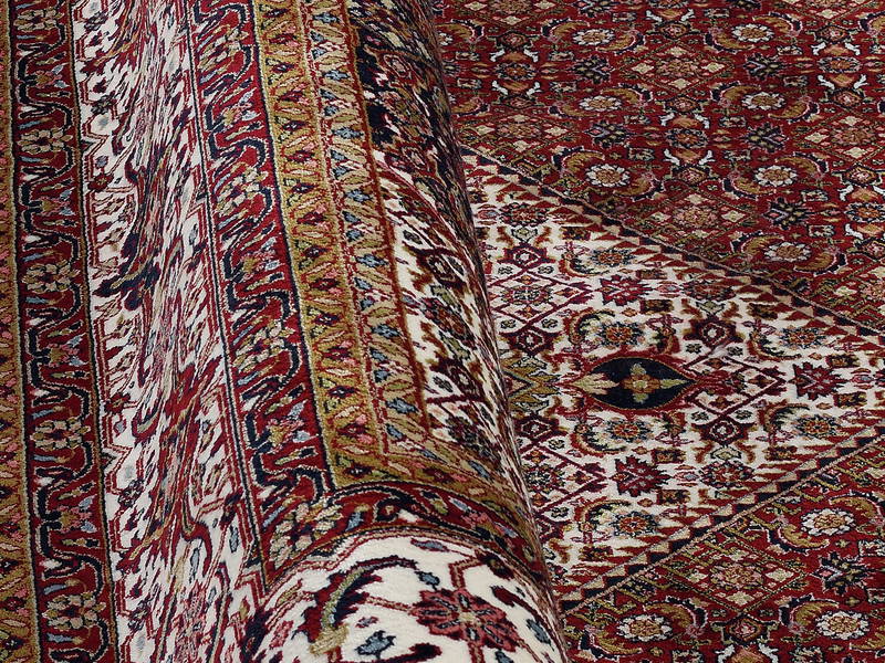 OCI Orient Teppich CENTAURI BIDJAR