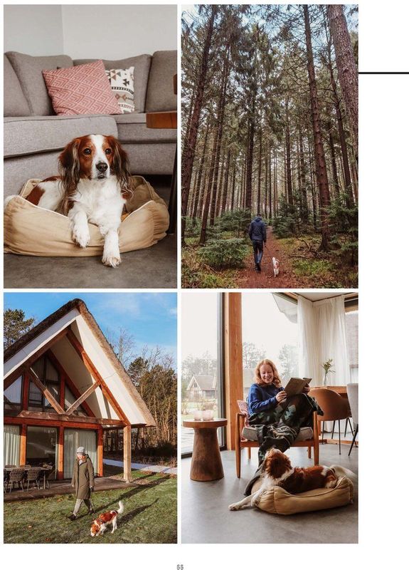 Eropuit met je hond