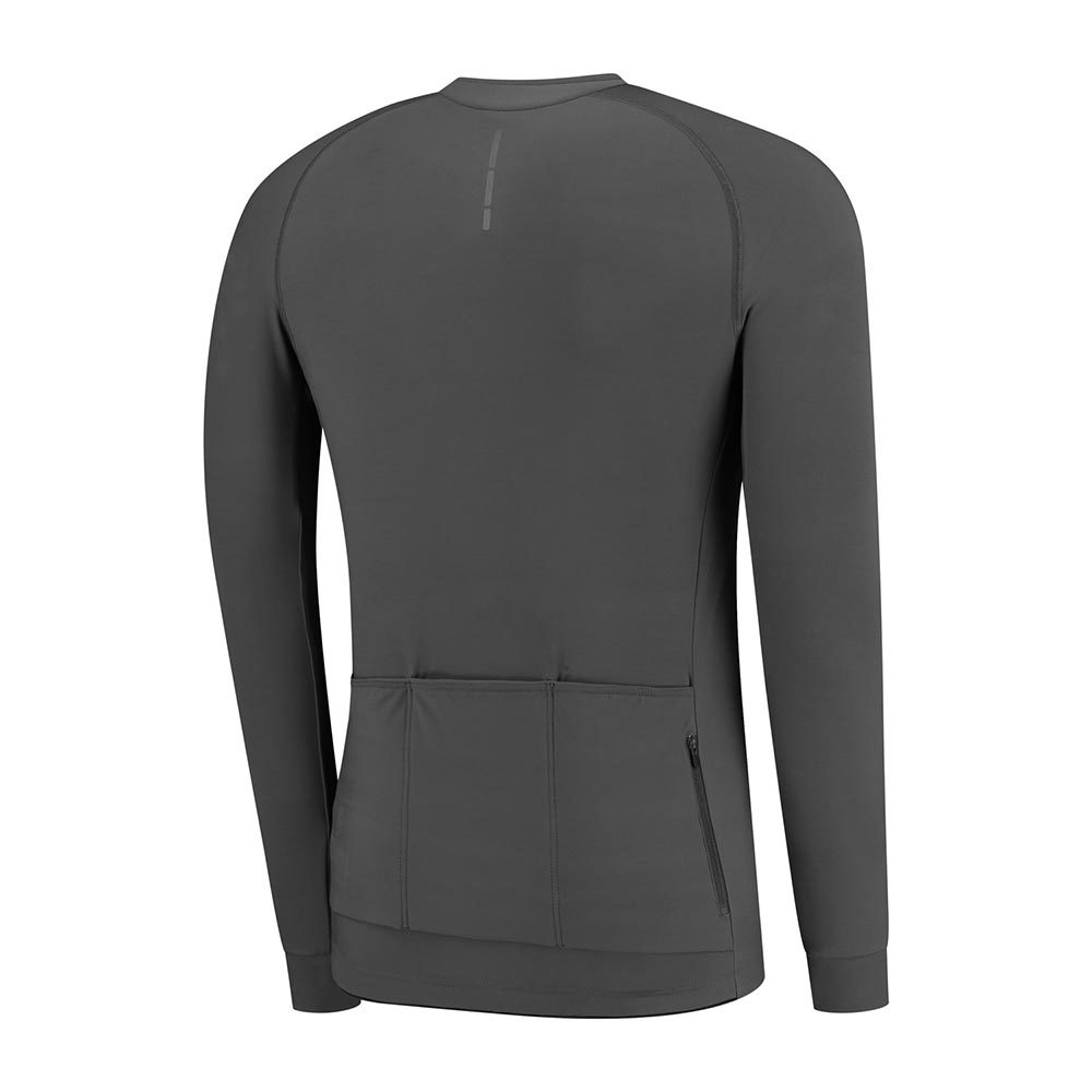FUTURUM JORIS Fietsshirt Lange Mouwen Grijs Heren