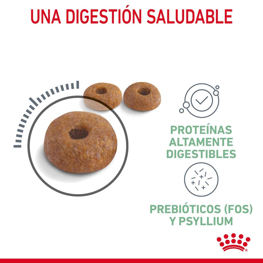 Ração Royal Canin Adult Digestive para gatos