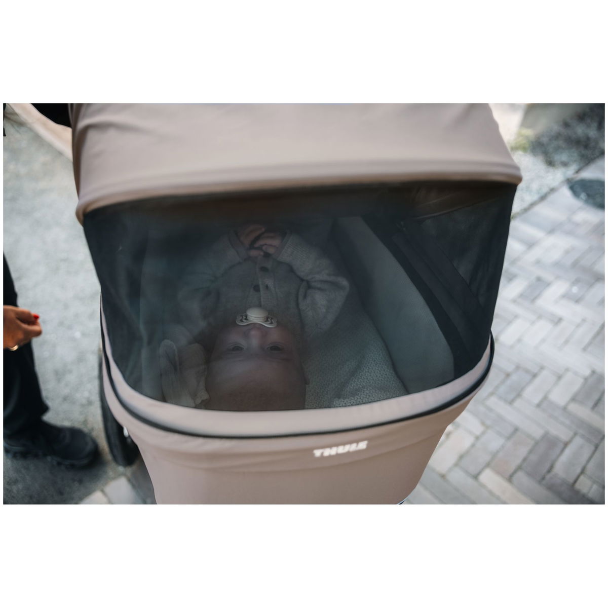 THULETHULE   Urban Glide und Spring Bassinet tinted taupe