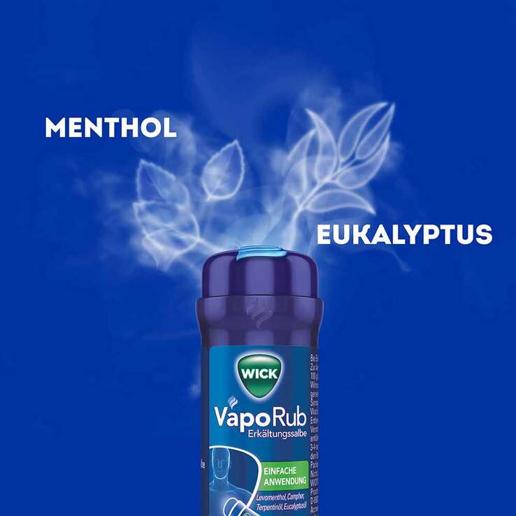 WICK VapoRub Erkältungssalbe im Applikator, 35 g