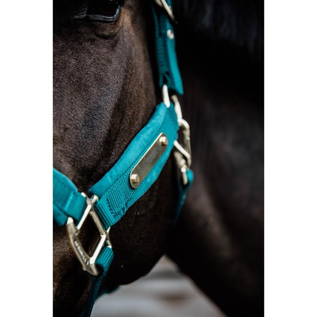 Halster Kentucky Velvet Donkergroen