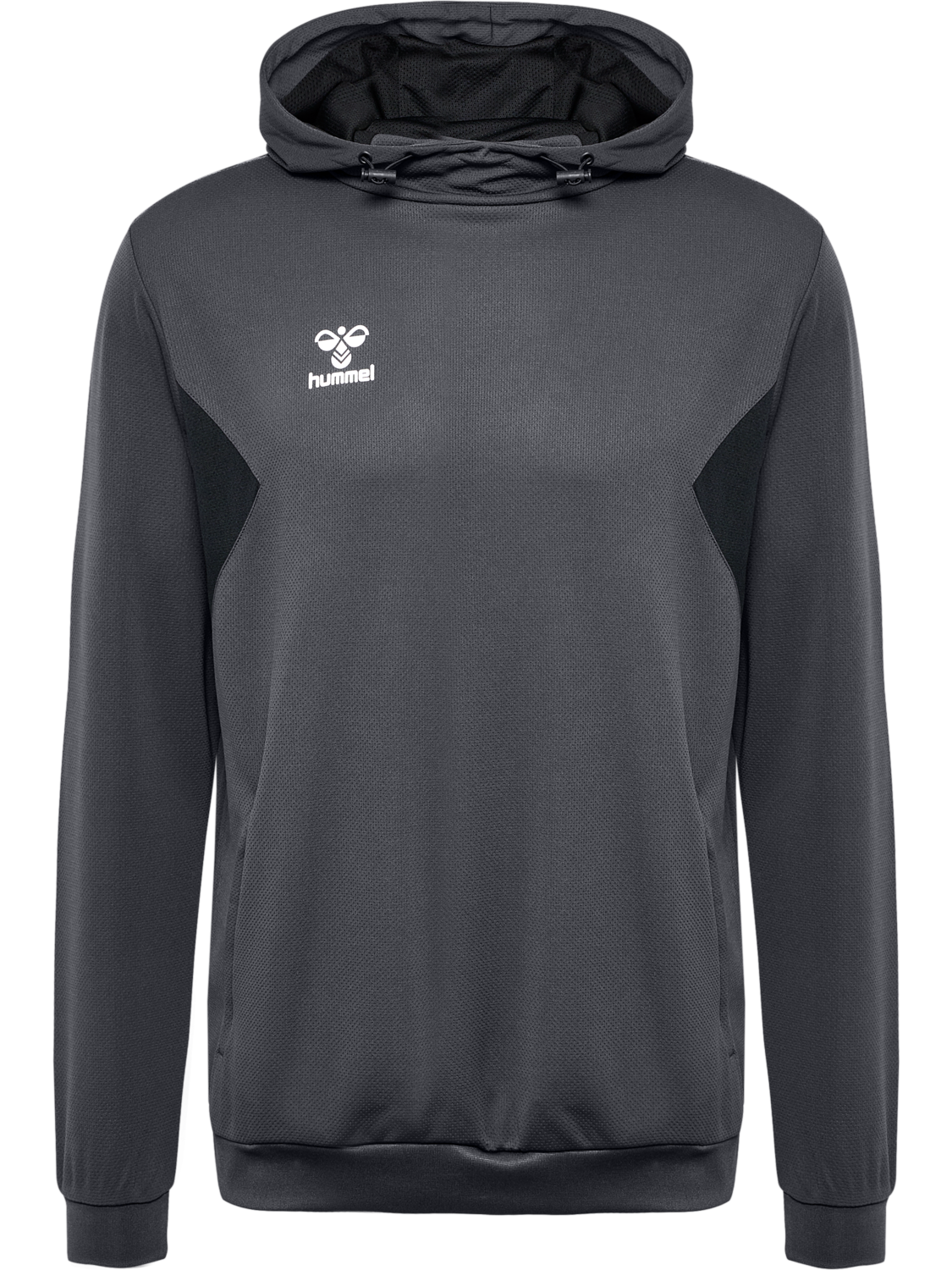 hmlAUTHENTIC PL HOODIE
