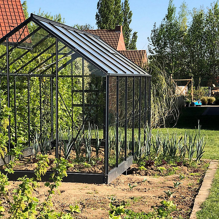 Serre en verre Lams Allium anthracite 7,30m²