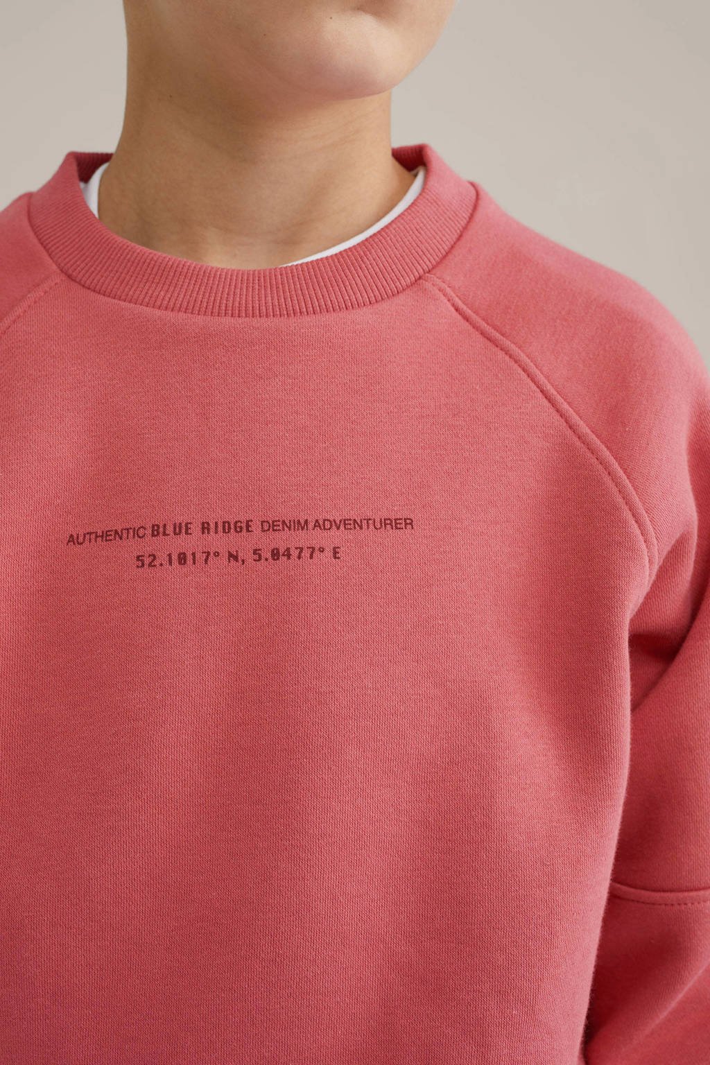 WE Fashion Blue Ridge sweater roze