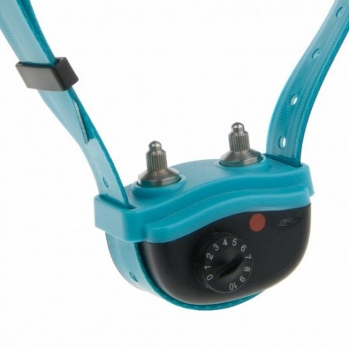 CANICALM EXCEL Azul