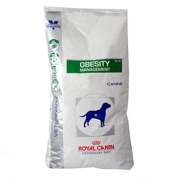Chien Obesity management 14kg