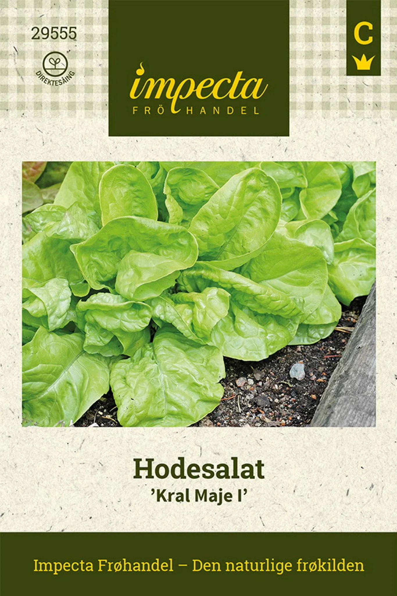 Lactuca sativa 'Kral Maje I' Hodesalat 'Kral maje'