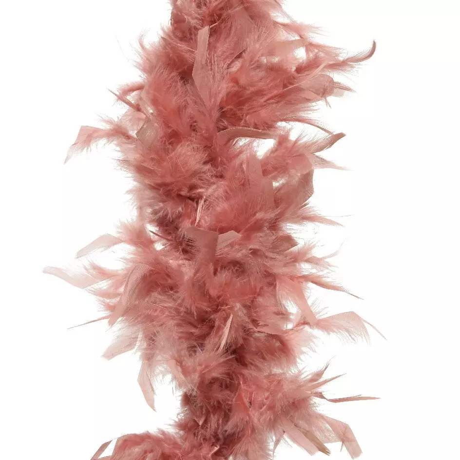 Guirlande Boa en plumes (184 cm) Deluxe Vieux rose