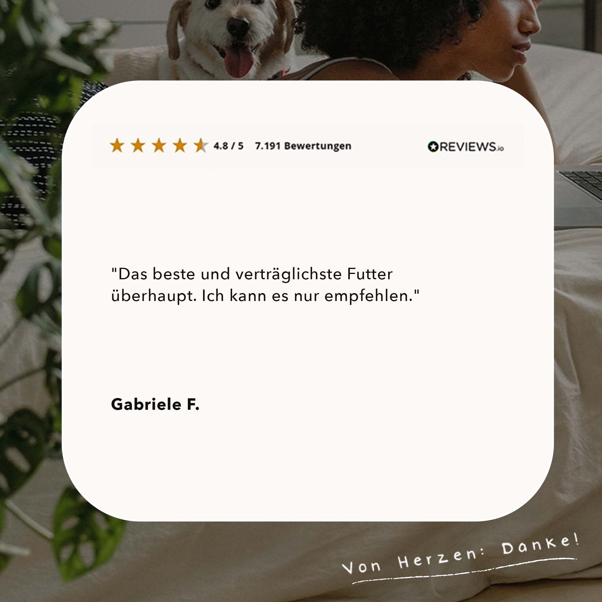 ALPHAZOO Rinderschmaus, Nassfutter Rind für Hunde