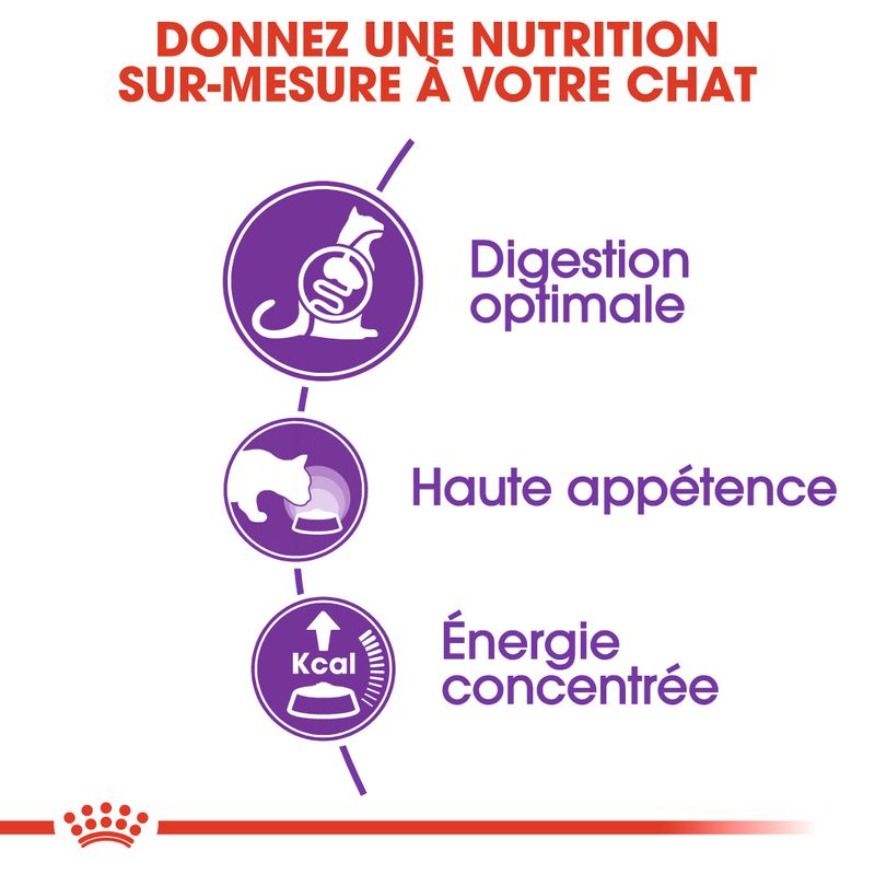 Royal Canin Regular Sensible 33 à prix discount sur bitiba.fr