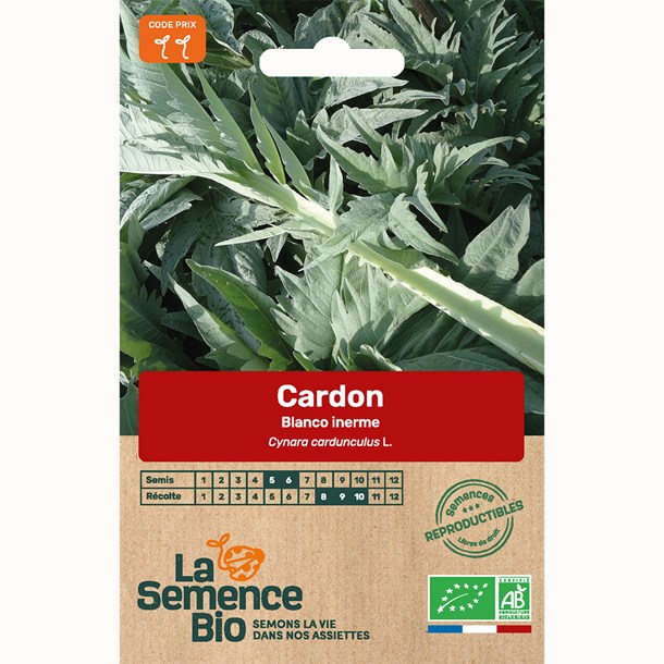 Cardon blanco inerme  bio