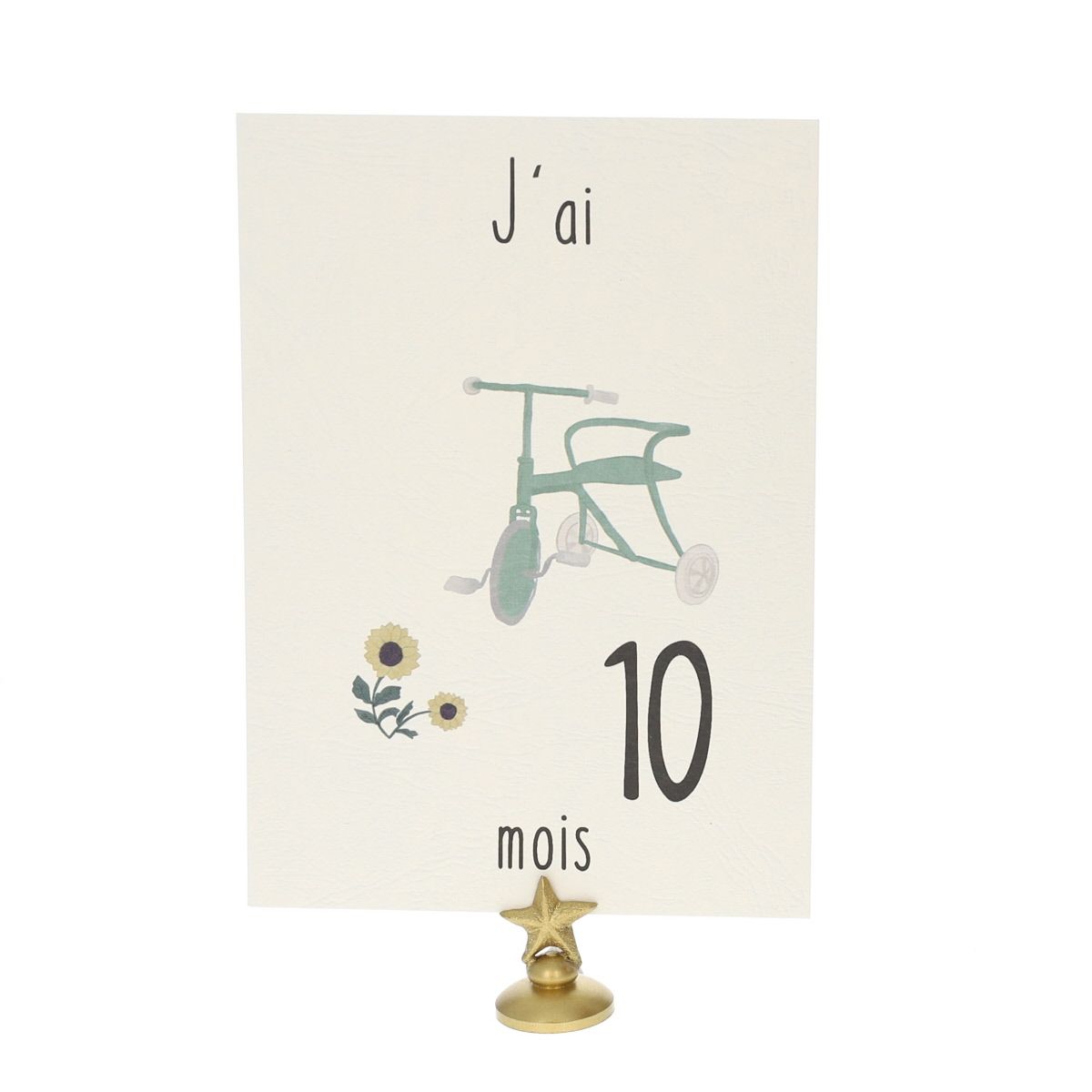 Lot de 12 cartes Ma première année de bébé Atelier jasmin