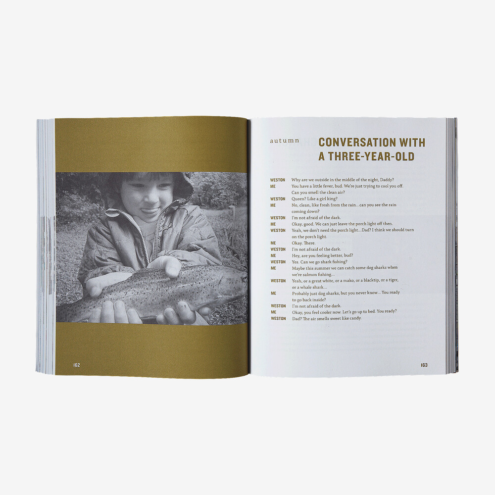 Näher am Boden von Dylan Tomine (Patagonia-Taschenbuch)