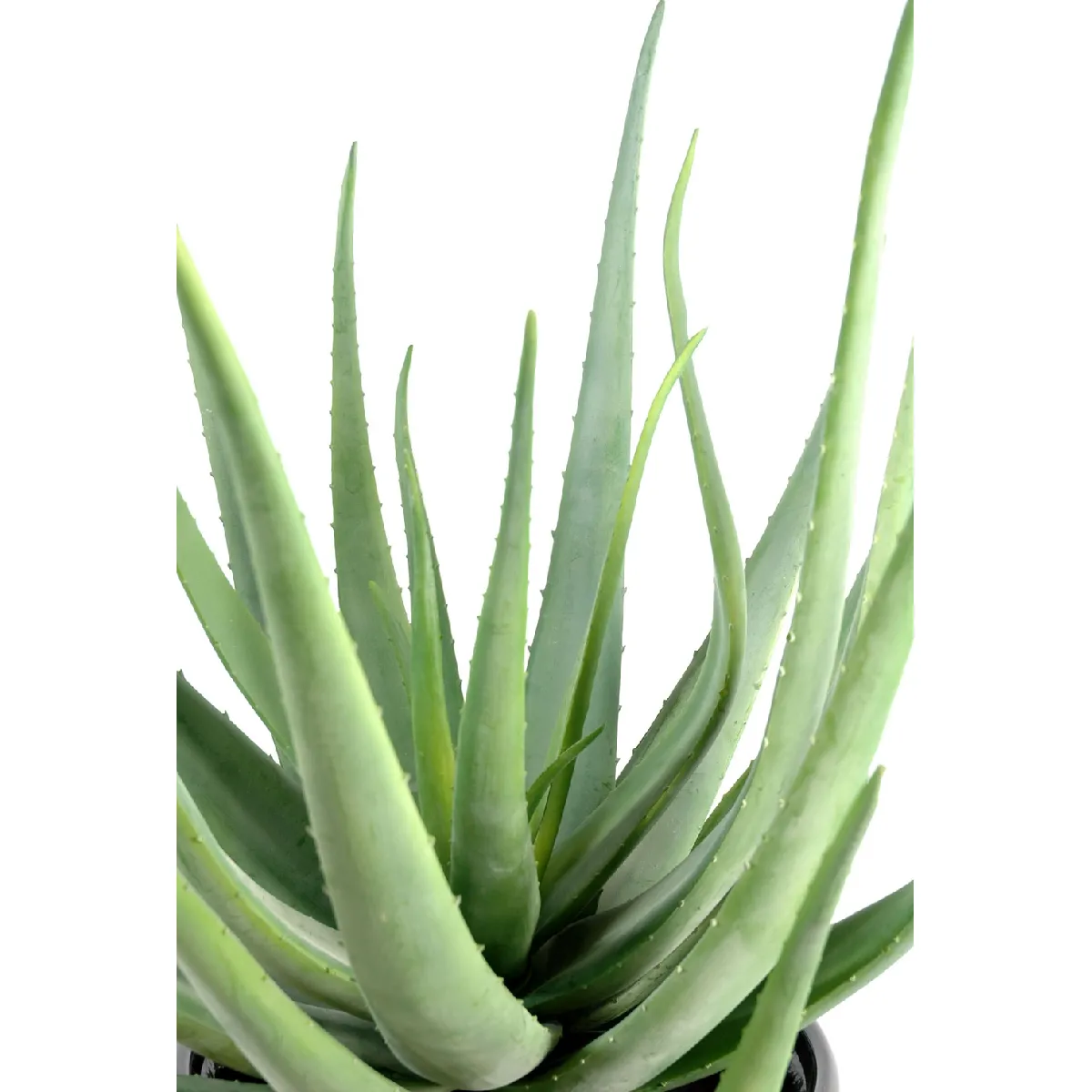 Pegane Aloevera artificiel