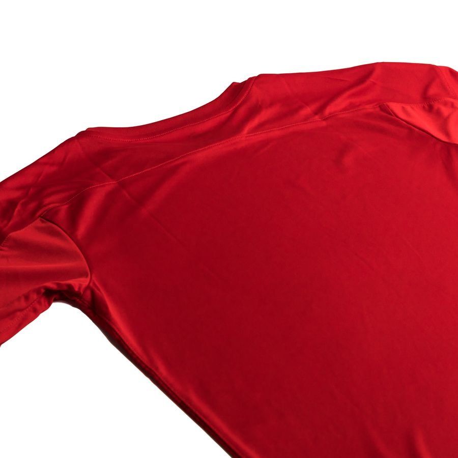 PUMA Maillot teamFINAL 21 Graphic - Rouge/Rouge