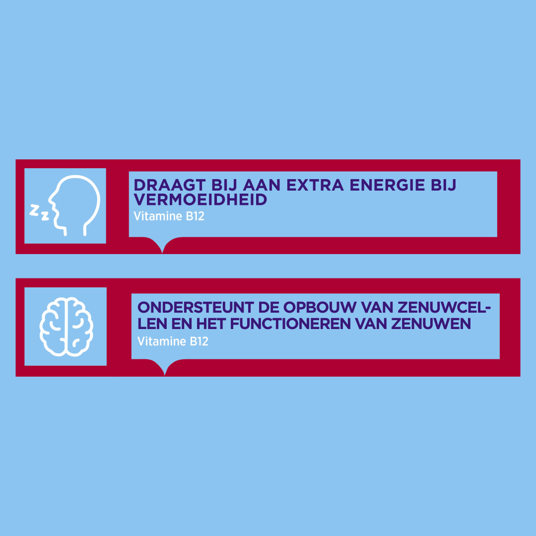 Dagravit Vitamine B12 1000mcg  (100 smelttabletten)
