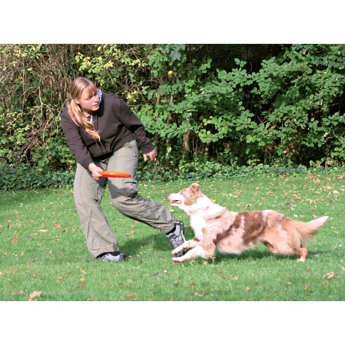 Frisbee Dog Activity