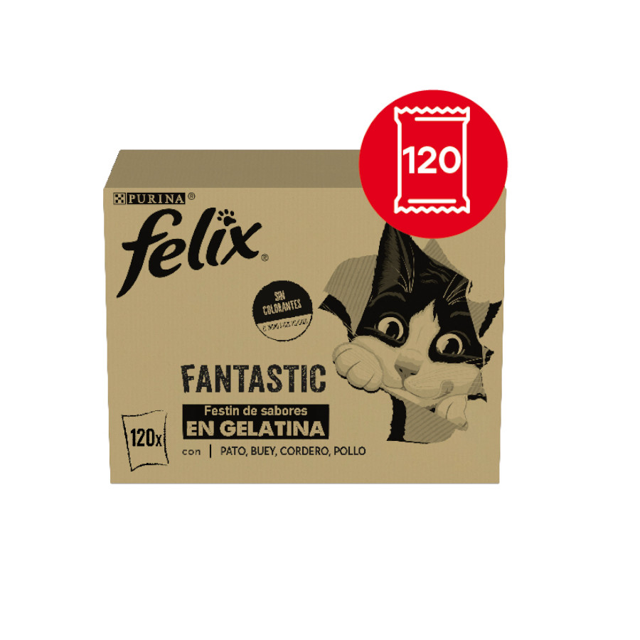 Felix Fantastic Seleção de Carnes Favoritas em Sachês de Gelatina para Gatos – Pacote com 120 unidades