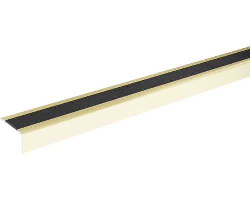 SKANDOR trapneusprofiel, champagne geanodiseerd, geperforeerd met rubberen inleg, 22x42x1350 mm
