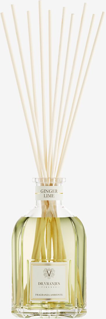 kleur n.v.t. dr. vranjes firenze huisgeuren ginger lime diffuser 250ml