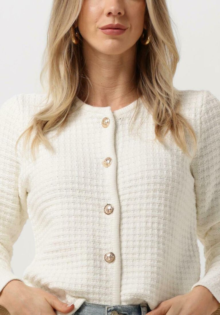 NEO NOIR witte neo noir vest limone knit jacket