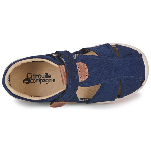 Citrouille et Compagnie - GUNCAL - Marine