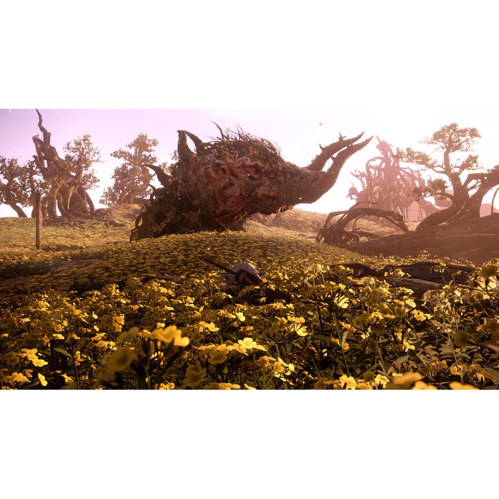 Wild Hearts Xbox Series X