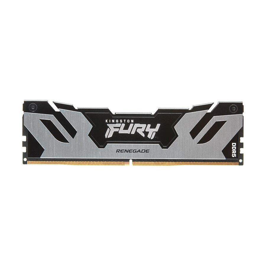 Kingston Fury Renegade Silver - 1 x 16 Go (16 Go) - DDR5 6400 MHz - CL32