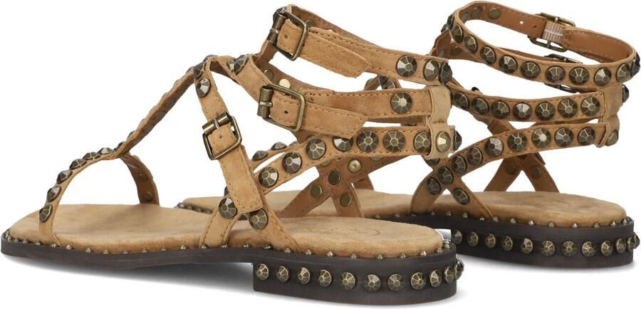 ASH Dames Play Maat: 39 Materiaal: Suède Kleur: Camel