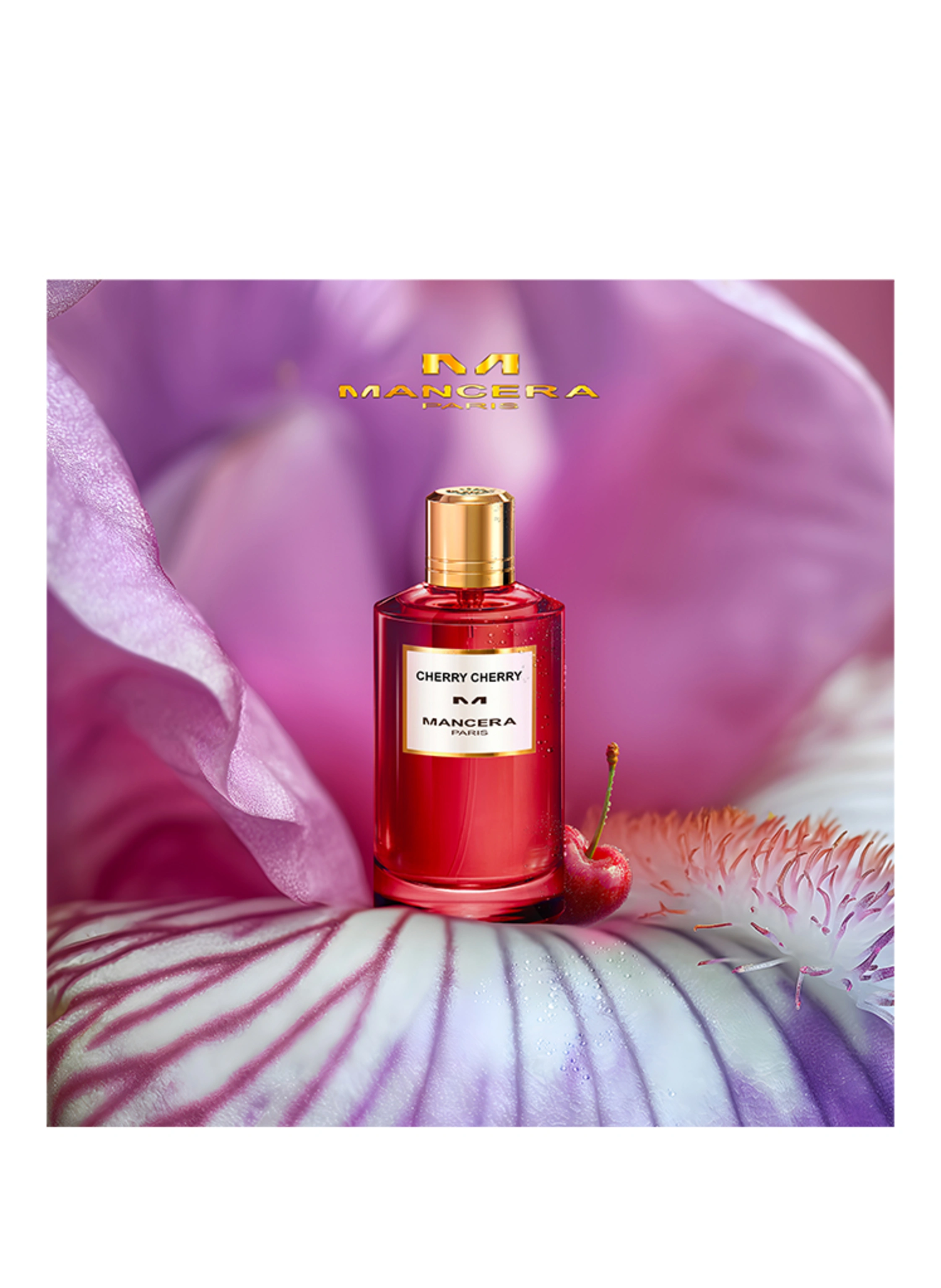 MANCERA CHERRY CHERRY