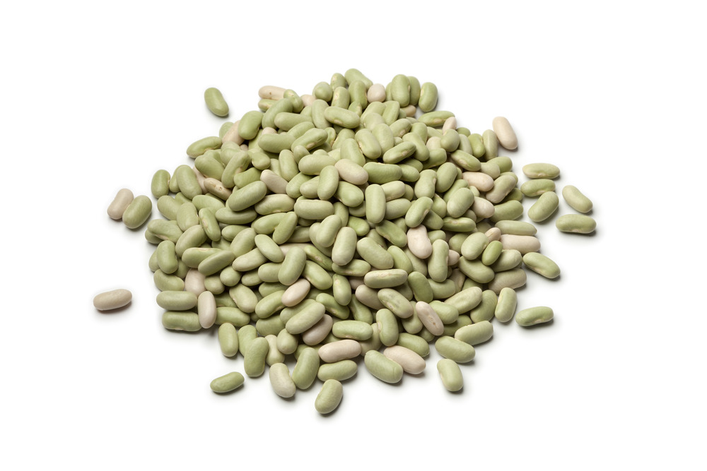 Sachet de graines de haricot nain à écosser flageolet chevrier vert flagrano - sachet de 100 grammes - made in france