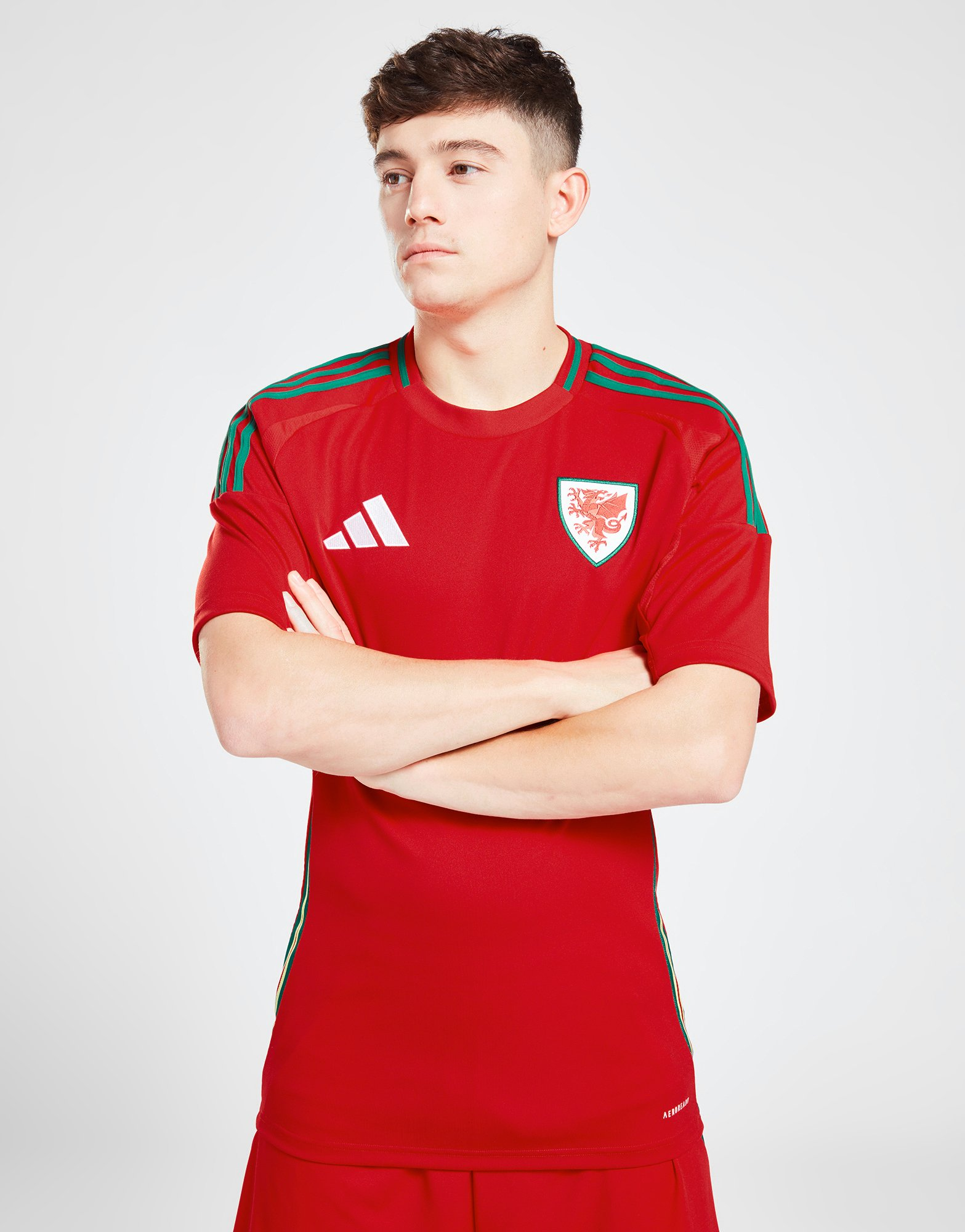 adidas Maillot Pays de Galles 2024 Match Domicile Homme