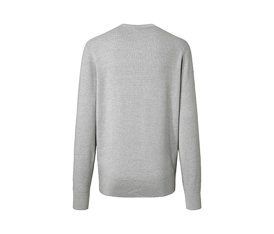 Pullover mit Rundhalsausschnitt, grau