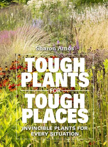 Tough Plants for Tough Places: Invincible Plants for Every Situation (Hardback)