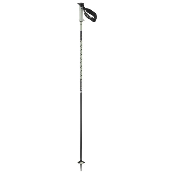 Salomon - Polar Pro S3 - Bâtons de ski