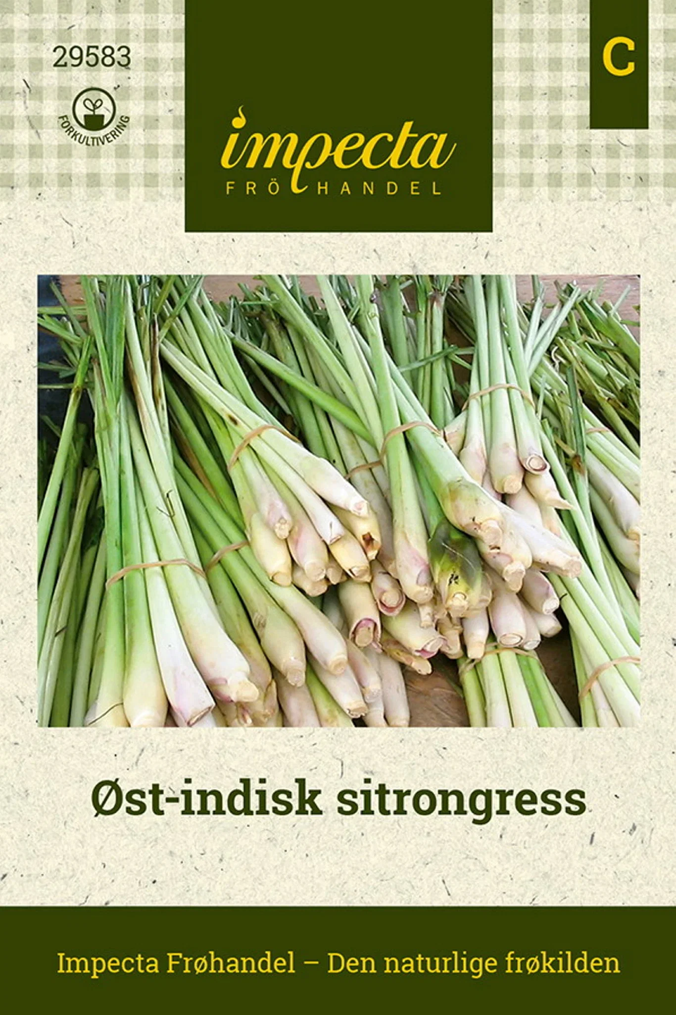 Cymbopogon flexuosus Øst-indisk sitrongress