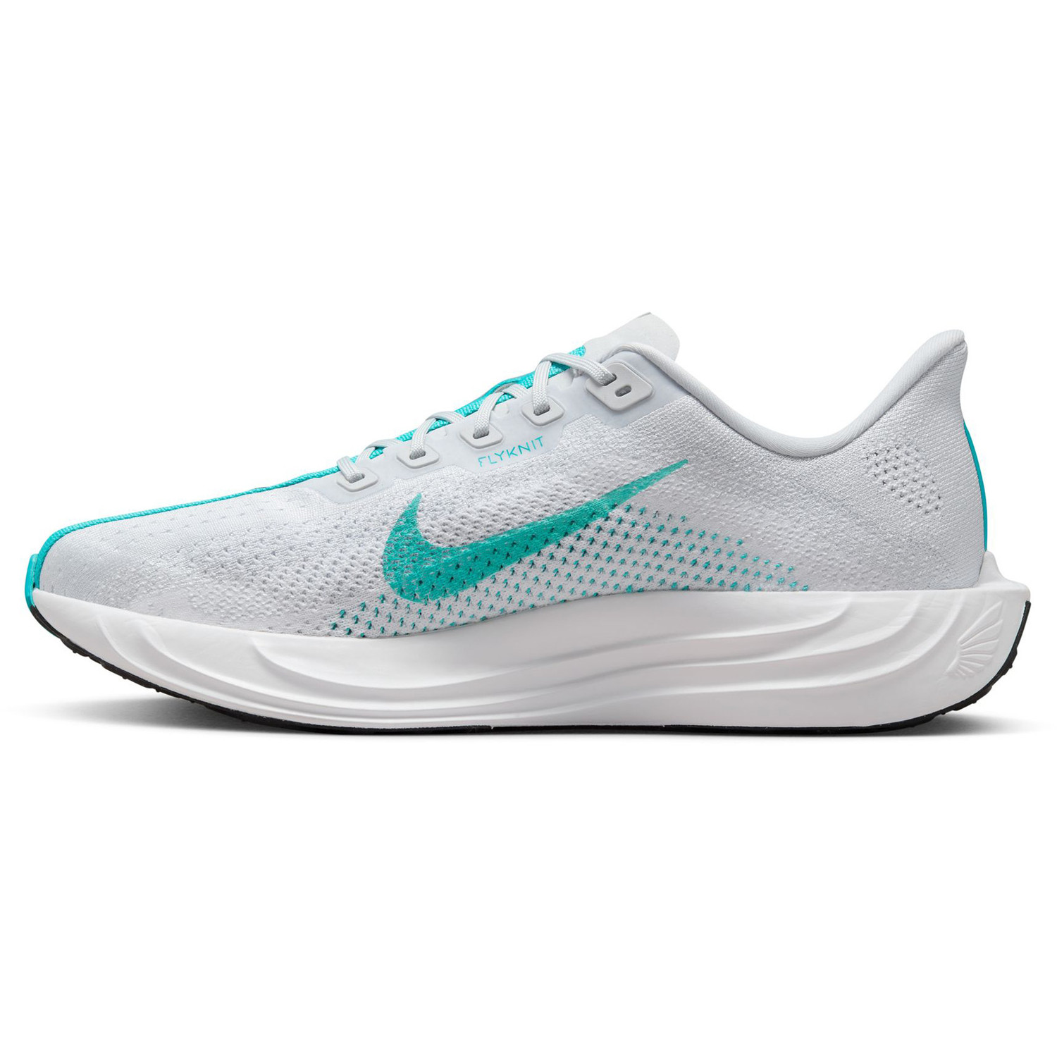 Nike Pegasus Plus Heren