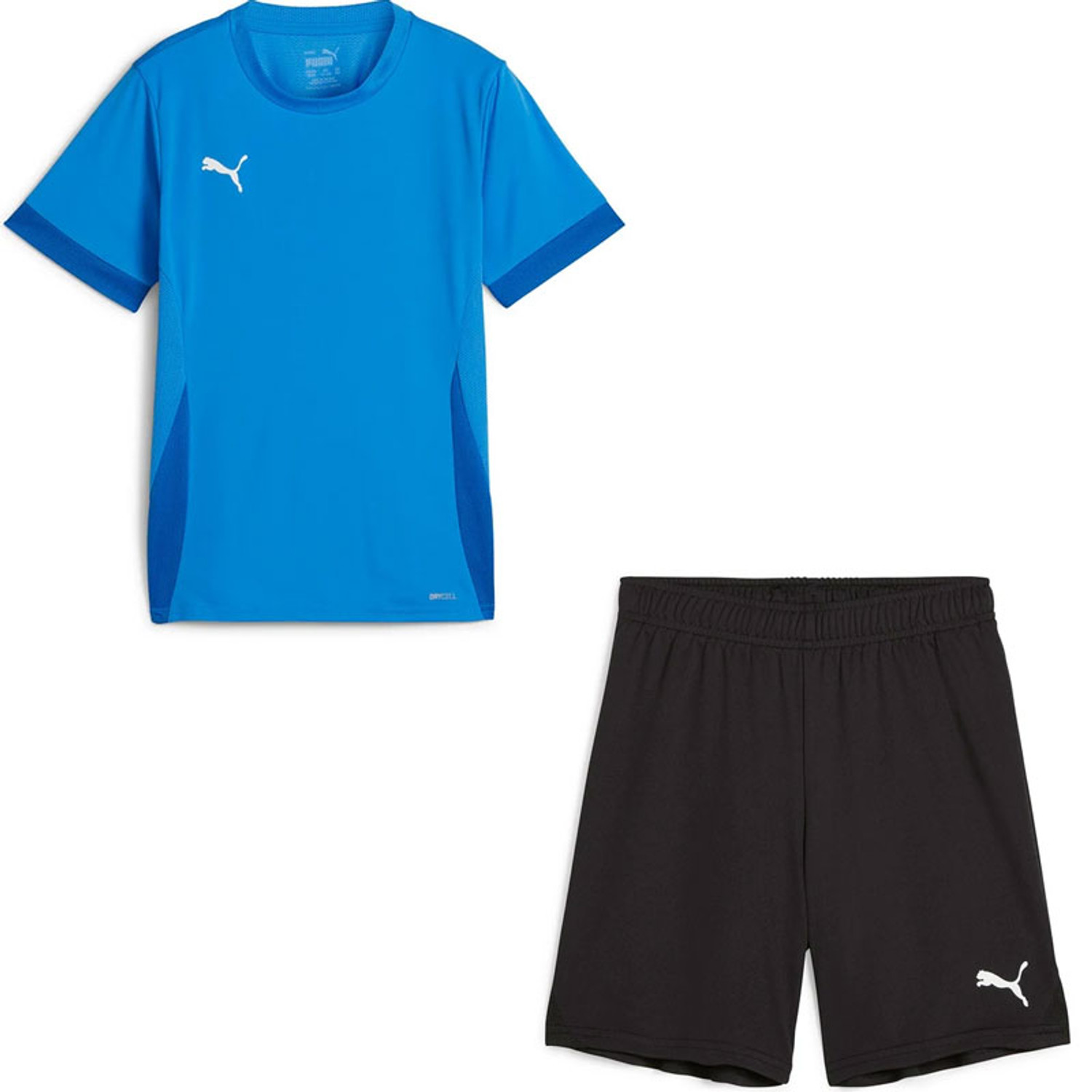 Puma GOAL Trainingsset Kids