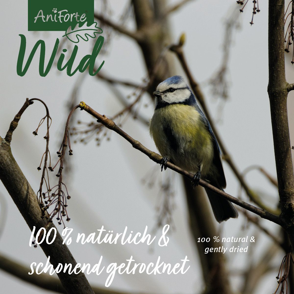 AniForte Wild Soldatenfliegenlarven