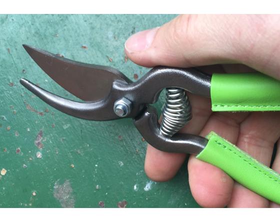 Sécateur de Jardin 18 cm - revêtement des branches en cuir VERT