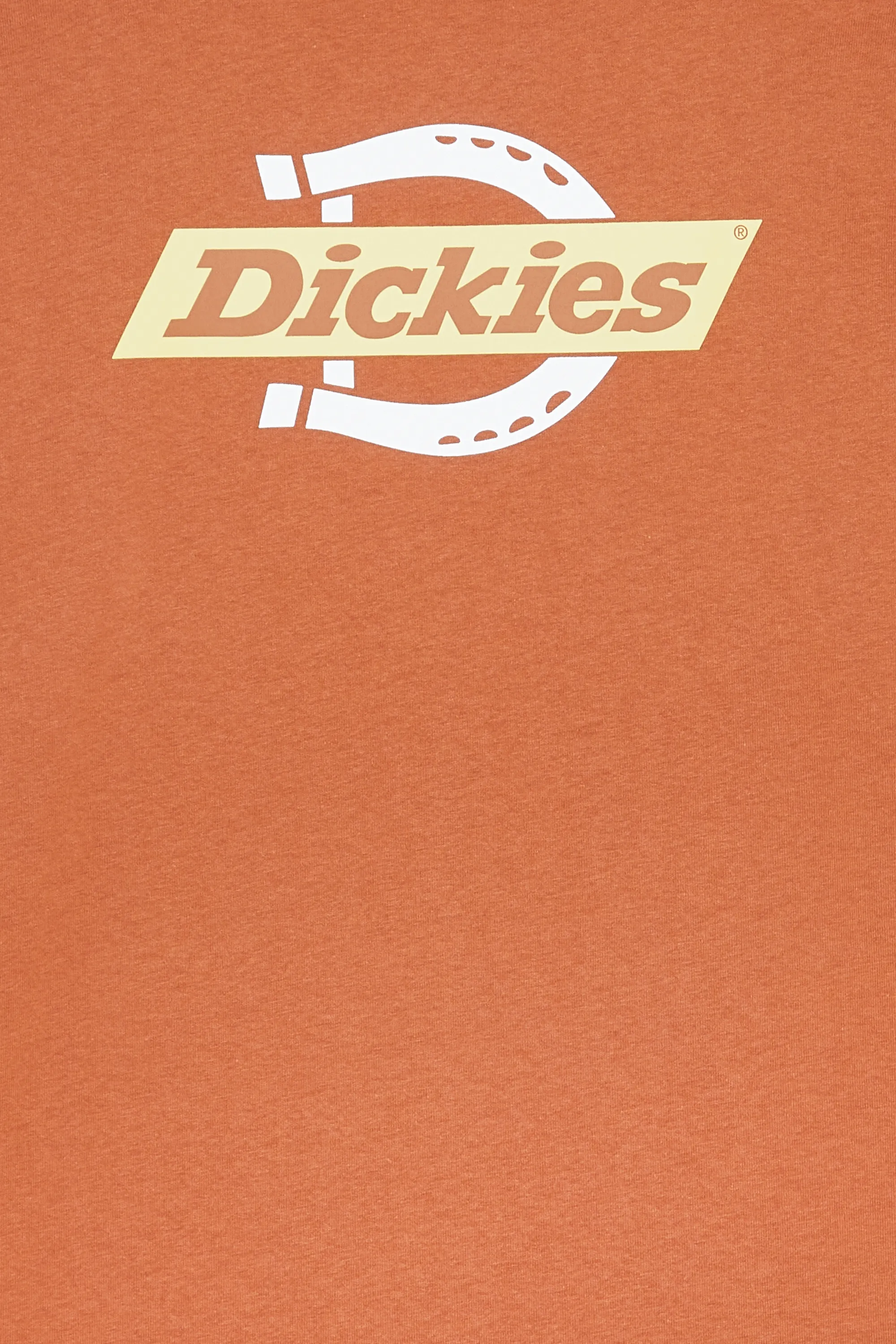 DICKIES T-shirt SS RUSTON TEE Orange