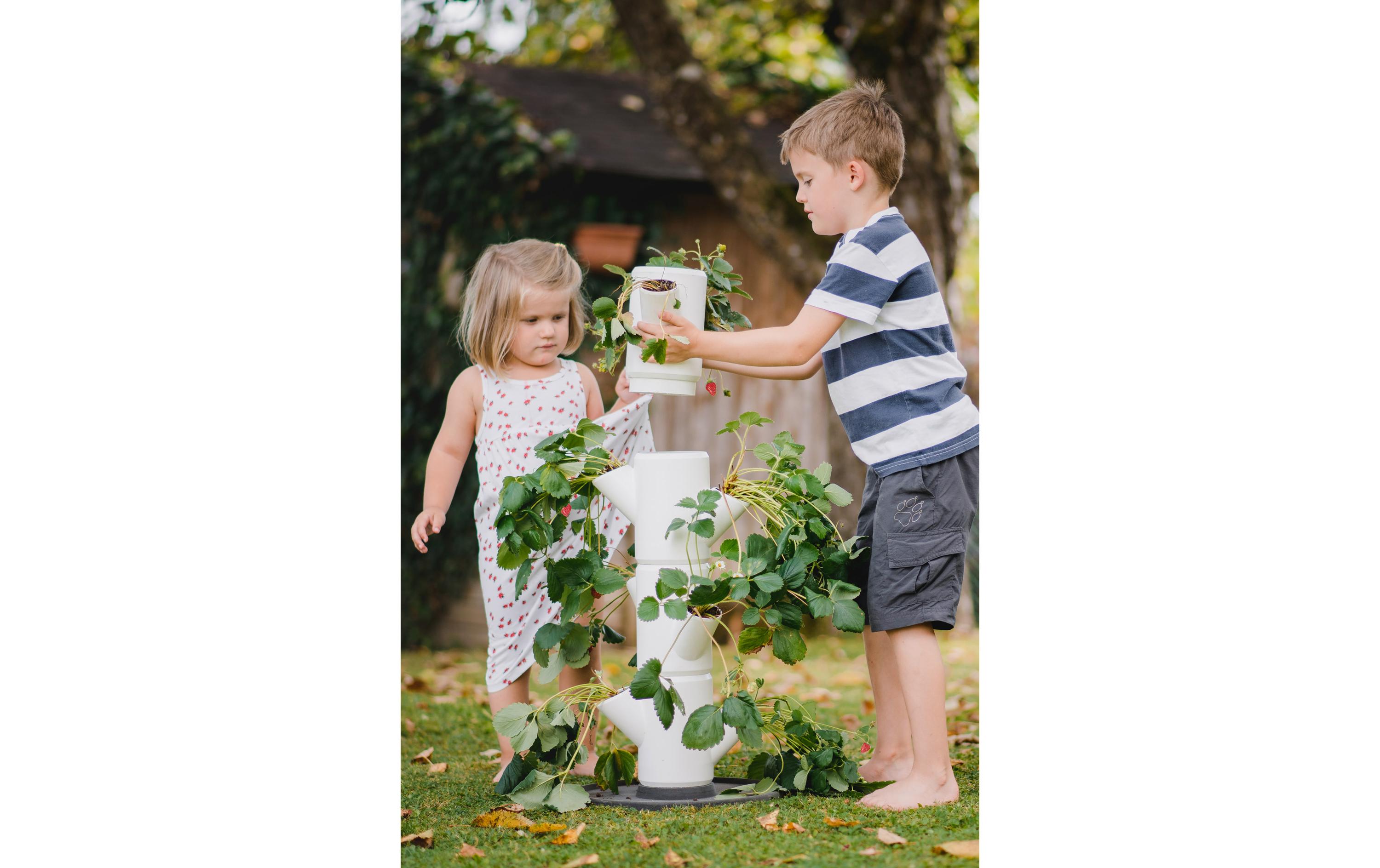 Aufzuchttöpfe SISSI STRAWBERRY Starterset, WeissUrban Gardening Erdbeerbaum