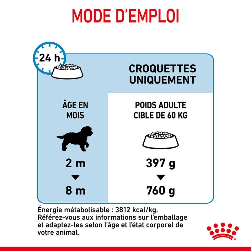 Royal Canin Giant Puppy - Croquettes chiot pas chères | Bitiba