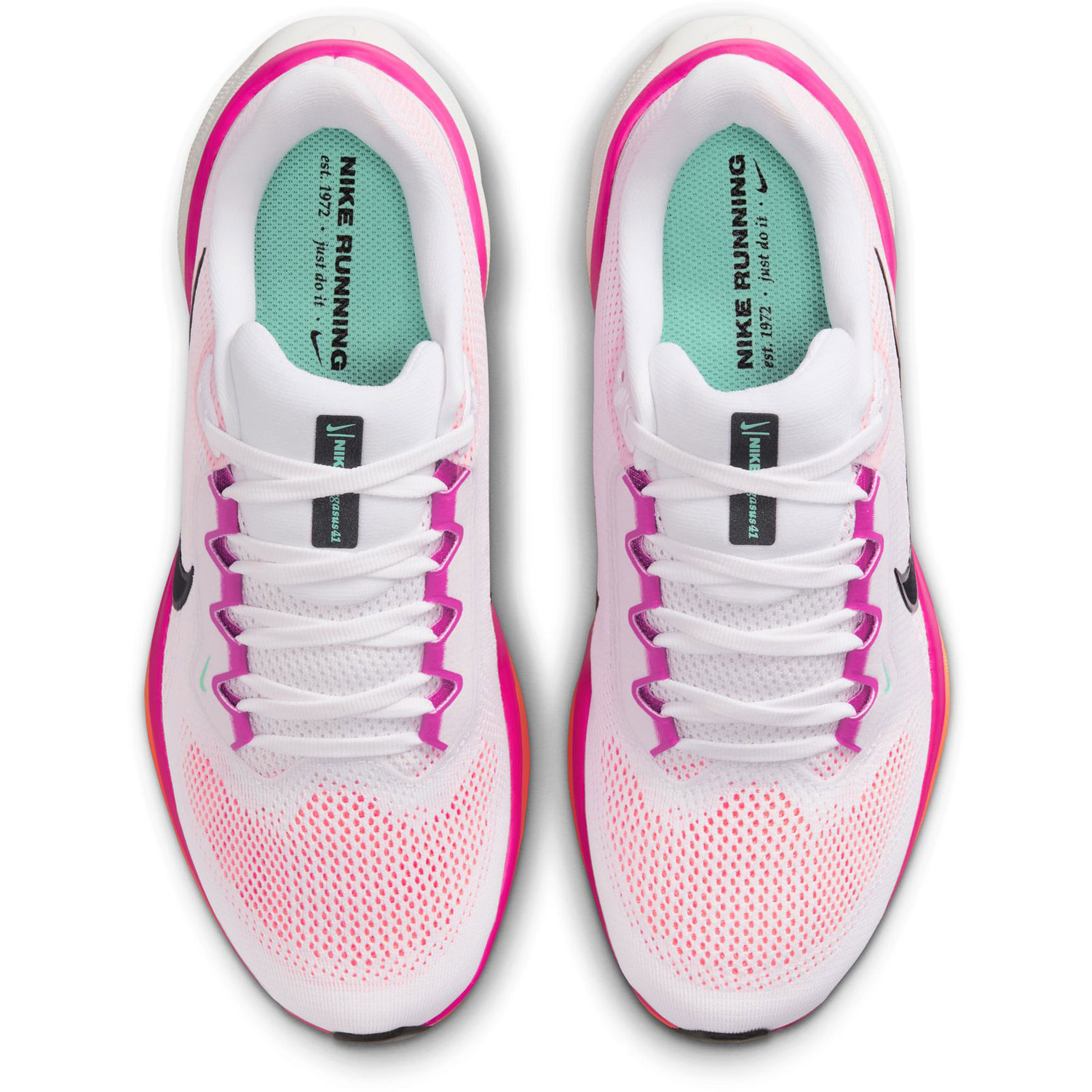 Nike Pegasus 41 Dames